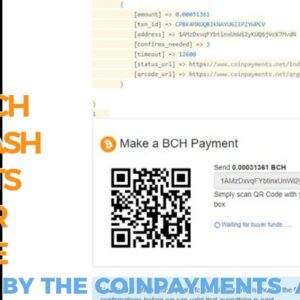 Bitcoin Cash Receive Payments - CoinPayments API